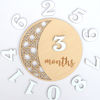 Picture of Baby Monthly Milestone, Wooden Baby Milestone Signs, Monthly Milestone Wood Discs, Baby Milestone Discs, Baby Photo Props Cards Interchangeable Number Set of 12 for Baby Growth Recording (Moon)