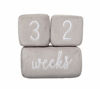 Picture of Pearhead Baby Plush Photo Sharing Milestone Age Blocks, Picture Prop, Set of 3 Blocks, Gray