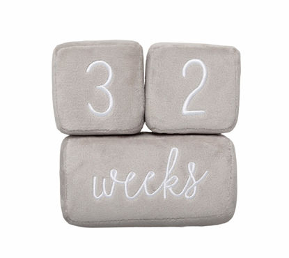Picture of Pearhead Baby Plush Photo Sharing Milestone Age Blocks, Picture Prop, Set of 3 Blocks, Gray