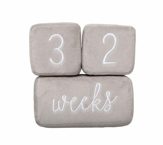 Picture of Pearhead Baby Plush Photo Sharing Milestone Age Blocks, Picture Prop, Set of 3 Blocks, Gray
