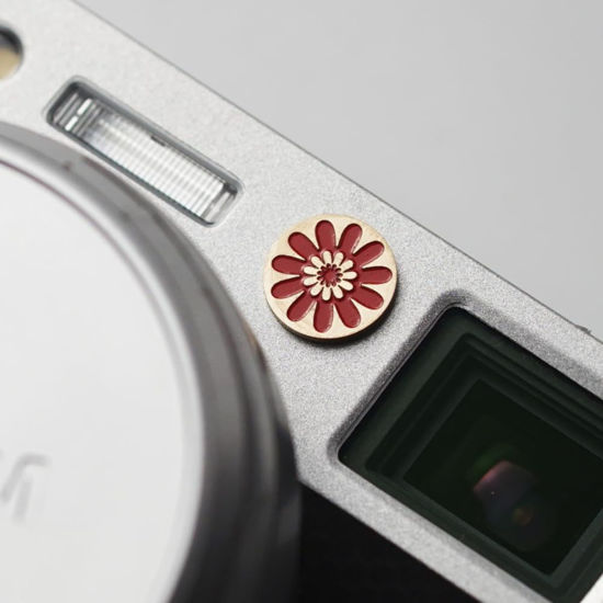 Picture of Camera nameplate, Metal Decorative Sticker (Daisy)