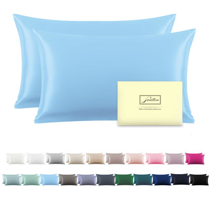 Picture of Silk Pillow Cases 2 Pack Soft Breathable and Sliky Queen Size Pillow Cases Set of 2,Natural Mulberry Satin Silk Pillowcase with Hidden Zipper for Hair and Skin (Sky Blue,20"X 30",2pcs)