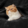 Picture of Bedsure Fleece Blanket California King Size Black - Lightweight Plush Fuzzy Cozy Soft Bed Blanket, 102x96 inches