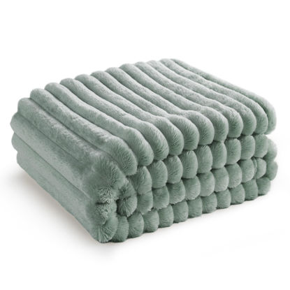 Picture of Bedsure Sage Green Fleece Blanket for Couch - GentleSoft Cozy Soft Blankets for Women, Cute Small Throws for Girls, 50x70 Inches