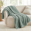 Picture of Bedsure Sage Green Fleece Blanket for Couch - GentleSoft Cozy Soft Blankets for Women, Cute Small Throws for Girls, 50x70 Inches