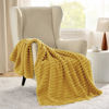 Picture of Bedsure Honey Fleece Blanket for Couch - GentleSoft Cozy Soft Blankets for Women, Cute Small Throws for Girls, 50x60 Inches