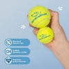 Picture of Best Pet Supplies Squeaky Tennis Toys for Dogs, 4-Pack, Heavy-Duty Interactive Pet Toys for Throwing and Fetching, Supports Exercise and Natural Behavior Training, Durable - Small