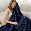 Picture of Bedsure Blue Twin Blanket for Bed - Super Soft Cozy Blankets for Women, Cute Large Blanket for Girls, 66x90 Inches
