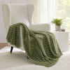 Picture of Bedsure Cypress Fleece Throw Blanket for Couch - GentleSoft Cozy Soft Blankets for Women, Cute Small Throws for Girls, 50x60 Inches