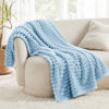 Picture of Bedsure Blue Fleece Blanket for Couch - GentleSoft Cozy Soft Blankets for Women, Cute Small Throws for Girls, Light Blue, 50x60 Inches