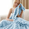 Picture of Bedsure Blue Fleece Blanket for Couch - GentleSoft Cozy Soft Blankets for Women, Cute Small Throws for Girls, Light Blue, 50x60 Inches