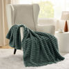 Picture of Bedsure Mallard Green Fleece Blanket for Couch - GentleSoft Cozy Soft Blankets for Women, Cute Small Throws for Girls, 50x60 Inches