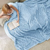 Picture of Bedsure Blue Fleece Blanket for Couch - GentleSoft Cozy Soft Blankets for Women, Cute Small Throws for Girls, Light Blue, 108x90 Inches