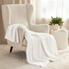 Picture of Bedsure Twin Blanket for Couch - GentleSoft Cozy Soft Blankets for Women, Cute Small Fleece Throws for Girls, Off White, 60x80 Inches