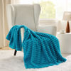 Picture of Bedsure Teal Twin Blanket for Bed - Super Soft Cozy Blankets for Women, Cute Large Blanket for Girls, 66x90 Inches
