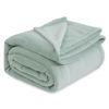 Picture of Bedsure Fleece Bed Blankets Full Size Sage Green - Soft Lightweight Plush Fuzzy Cozy Luxury Blanket Microfiber, 84x90 inches