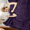 Picture of Bedsure Purple Full Blanket for Bed - GentleSoft Cozy Soft Blankets for Women, Cute Large Throws for Girls, 84x90 Inches