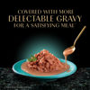 Picture of Sheba Gravy Indulgence Adult Wet Cat Food Salmon Entree in Extra Gravy, 2.6 oz. Twin-Pack Trays (24 Count, 48 Servings)