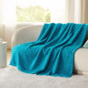 Picture of Bedsure Teal Fleece Blanket for Couch - Super Soft Cozy Twin Blankets for Women, Cute Small Throws for Girls, 60x80 Inches