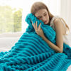Picture of Bedsure Teal Fleece Blanket for Couch - Super Soft Cozy Twin Blankets for Women, Cute Small Throws for Girls, 60x80 Inches