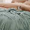 Picture of Bedsure Twin Blanket for Couch - GentleSoft Cozy Soft Blankets for Women, Cute Small Fleece Throws for Girls, Sage Green, 60x80 Inches
