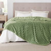 Picture of Bedsure Reseda Fleece Queen Blanket for Couch - GentleSoft Cozy Soft Blankets for Women, Cute Small Throws for Girls, 90x90 Inches