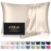 Picture of Silk Pillowcase for Hair and Skin, Mulberry Silk Pillow Cases Queen Size, Anti Acne Cooling Beauty Sleep Both Sides Natural Silk Satin Pillowcases with Hidden Zipper, Gifts for Women Men, Beige