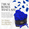 Picture of GLAMOUR BOUTIQUE 7-Piece Flowers Forever Heart Shape Box - Preserved Roses, Immortal Roses That Last A Year - Rose Eternal Preserved Flowers for Delivery Mothers Day & Valentines Day - Blue