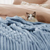 Picture of Bedsure King Blanket for Couch - GentleSoft Cozy Soft Blankets for Women, Cute Large Throws for Girls, Ashley Blue, 108x90 Inches
