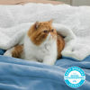 Picture of Bedsure Sherpa Fleece Blankets Queen Size for Bed - Thick and Warm Blanket for Winter, Soft Fuzzy Plush Queen Blanket for All Seasons, Washed Blue, 90x90 Inches