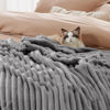 Picture of Bedsure Frost Gray Fleece Blanket for Couch - GentleSoft Cozy Soft Blankets for Women, Cute Small Throws for Girls, 90x90 Inches