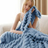 Picture of Bedsure Twin Blanket for Couch - GentleSoft Cozy Soft Blankets for Women, Cute Small Throws for Girls, Ashley Blue, 60x80 Inches