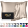 Picture of Silk Pillowcase for Hair and Skin, Mulberry Silk Pillow Cases Queen Size, Anti Acne Cooling Beauty Sleep Both Sides Natural Silk Satin Pillowcases with Hidden Zipper, Gifts for Women Men, Champagne