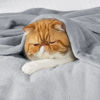 Picture of Bedsure Fleece Blanket Twin Blanket - Light Grey Lightweight Blanket for Sofa, Couch, Bed, Camping, Travel - Super Soft Cozy Microfiber Blanket