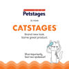 Picture of Catstages Squeak Squeak Mouse Plush Catnip Cat Toy