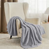 Picture of Bedsure Twin Blanket for Couch - Super Soft Cozy Blankets for Women, Cute Small Fleece Throws for Girls, Light Grey, 60x80 Inches