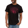 Picture of Junk Food Clothing x NFL - Arizona Cardinals - Team Spotlight - Unisex Adult Short Sleeve Fan T-Shirt for Men and Women - Size 3X-Large