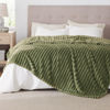 Picture of Bedsure Cypress Fleece Queen Blanket for Couch - Super Soft Cozy Blankets for Women, Cute Small Throws for Girls, 90x90 Inches
