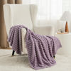 Picture of Bedsure Light Purple Fleece Blanket for Couch - Super Soft Cozy Twin Blankets for Women, Cute Small Throws for Girls, 60x80 Inches