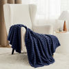 Picture of Bedsure Blue Fleece Blanket for Couch - Super Soft Cozy Twin Blankets for Women, Cute Small Throws for Girls, 60x80 Inches