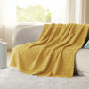 Picture of Bedsure Honey Fleece Blanket for Couch - Super Soft Cozy Twin Blankets for Women, Cute Small Throws for Girls, 60x80 Inches