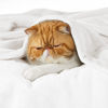 Picture of Bedsure Fleece Bed Blankets Full Size White - Soft Lightweight Plush Fuzzy Cozy Luxury Blanket Microfiber, 84x90 inches
