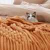 Picture of Bedsure King Blanket for Couch - Super Soft Cozy Blankets for Women, Cute Large Throws for Girls, Orange, 108x90 Inches