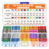 Picture of JOREST 100Pcs Car Fuse Assortment Kit, 56 Mini Blade Fuses Automotive + 44 Standard Auto Fuses + 1 Fuse Puller - for Car/RV/Truck/Motorcycle/Boat (2Amp 3A 5A 7.5A 10A 15A 20A 25A 30A 35A 40A)