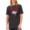 Picture of Junk Food Clothing x NFL - Tampa Bay Buccaneers - Bold Logo - Unisex Adult Short Sleeve Fan T-Shirt for Men and Women - Size Small