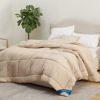 Picture of Bedsure Duvet Insert Full Comforter Beige - All Season Quilted Down Alternative Comforter for Full Bed, 300GSM Mashine Washable Microfiber Bedding Comforter with Corner Tabs