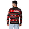 Picture of FOCO Standard NFL Big Logo Ugly Sweater, Team Color