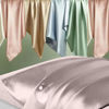 Picture of Silk Pillowcase for Hair and Skin, Mulberry Silk Pillow Cases Queen Size, Soft Anti Acne Cooling Beauty Sleep Both Sides Natural Silk Satin Pillowcases with Hidden Zipper, Gifts for Women Men, Taupe