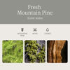 Picture of Drift Car Air Freshener - Stone Air Freshener Starter Set - Car Odor Eliminator - Pine Scent