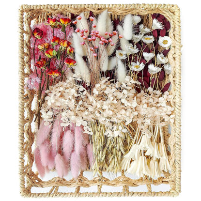 Picture of DIY Natural Dried Flower Set, Bulk Dried Flowers, Dried Flowers with Stems, Handmade Dried Flowers Ideas, DIY Flower Set, Door Hanging Wreath, Table Centerpiece Mini Dried Flowers.(Pink)